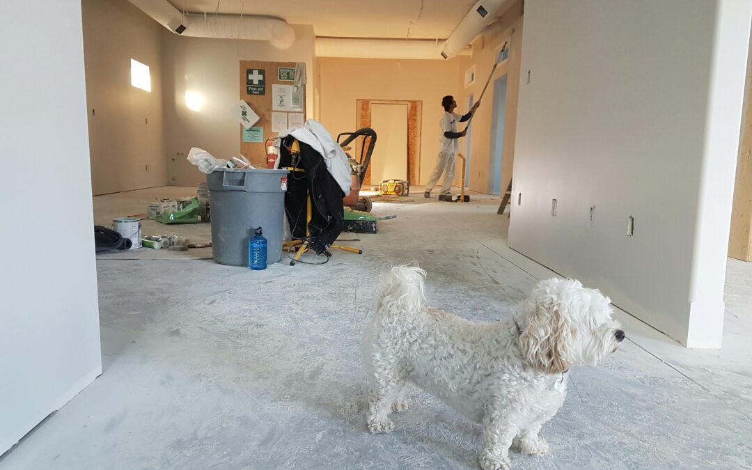 Home Improvement Loans UK – How to Finance Renovations in 2025