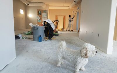 Home Improvement Loans UK – How to Finance Renovations in 2025
